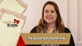 Explica Direito Filiação Socioafetiva  2019 [upl. by Eener]